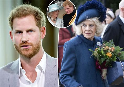 Prince Harry accuses Camilla of leaks to media